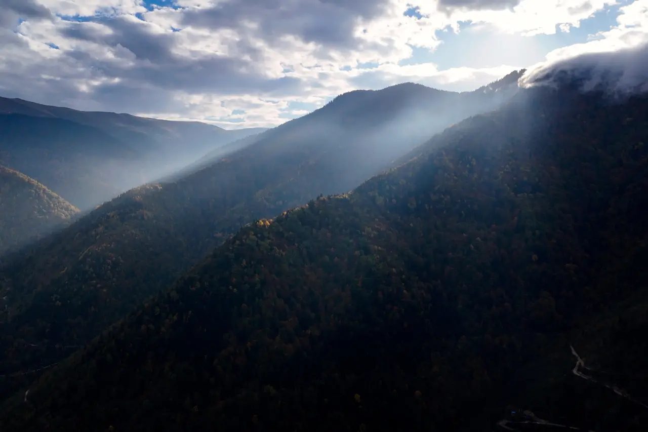 Örümcek Ormanları'nda Sonbahar Büyüsü: Görenleri Hayran Bırakıyor! 36