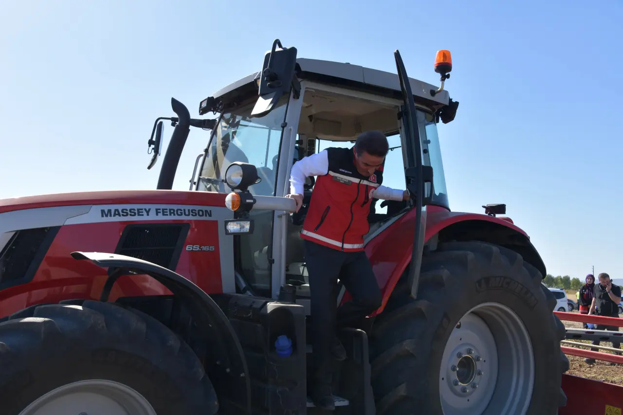 Vali Baruş, Kelkit’te traktörle fasulye hasadı yaptı 2
