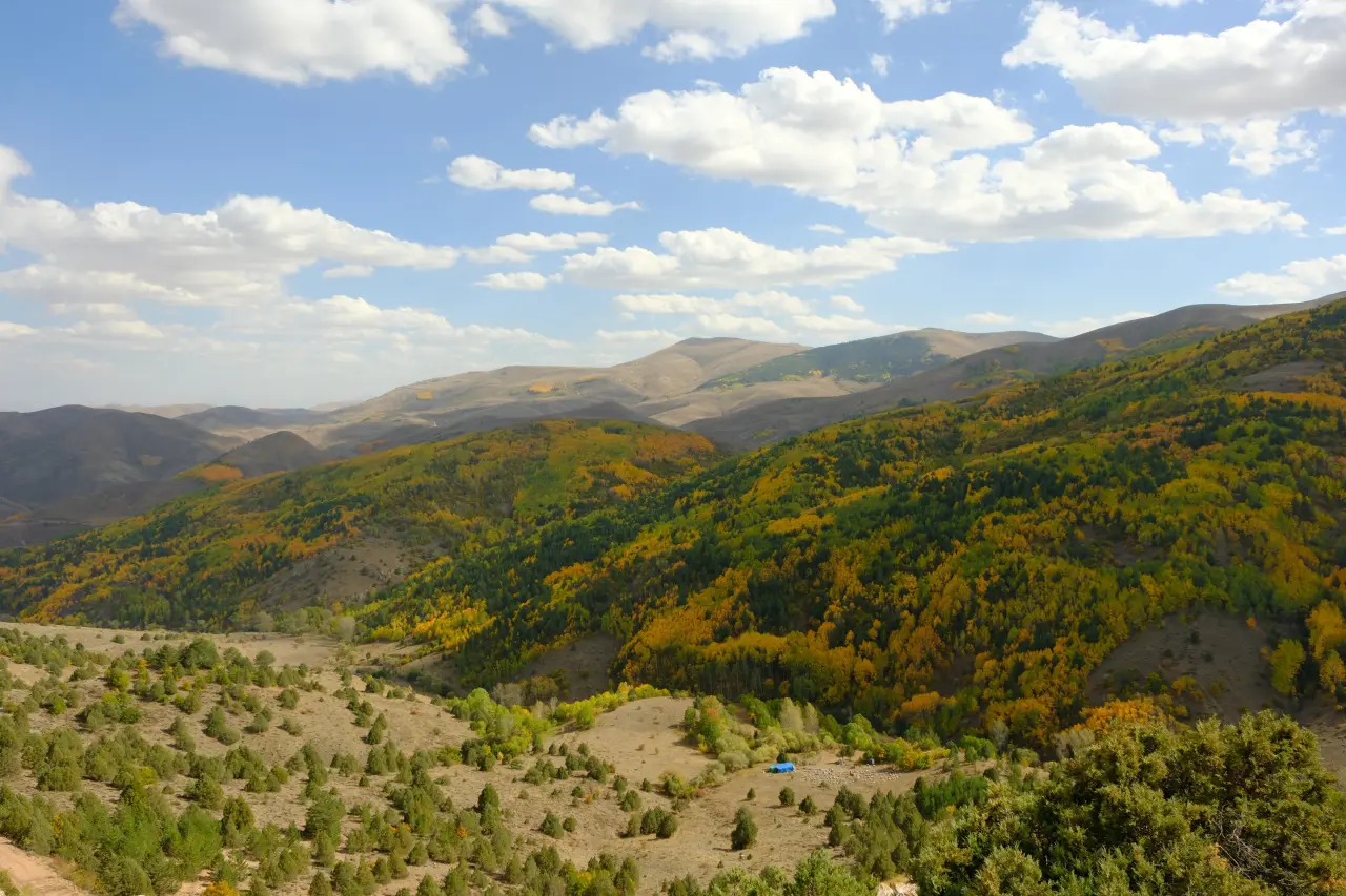 "Sonbaharın Başkenti" Gümüşhane renk cümbüşüne döndü 24