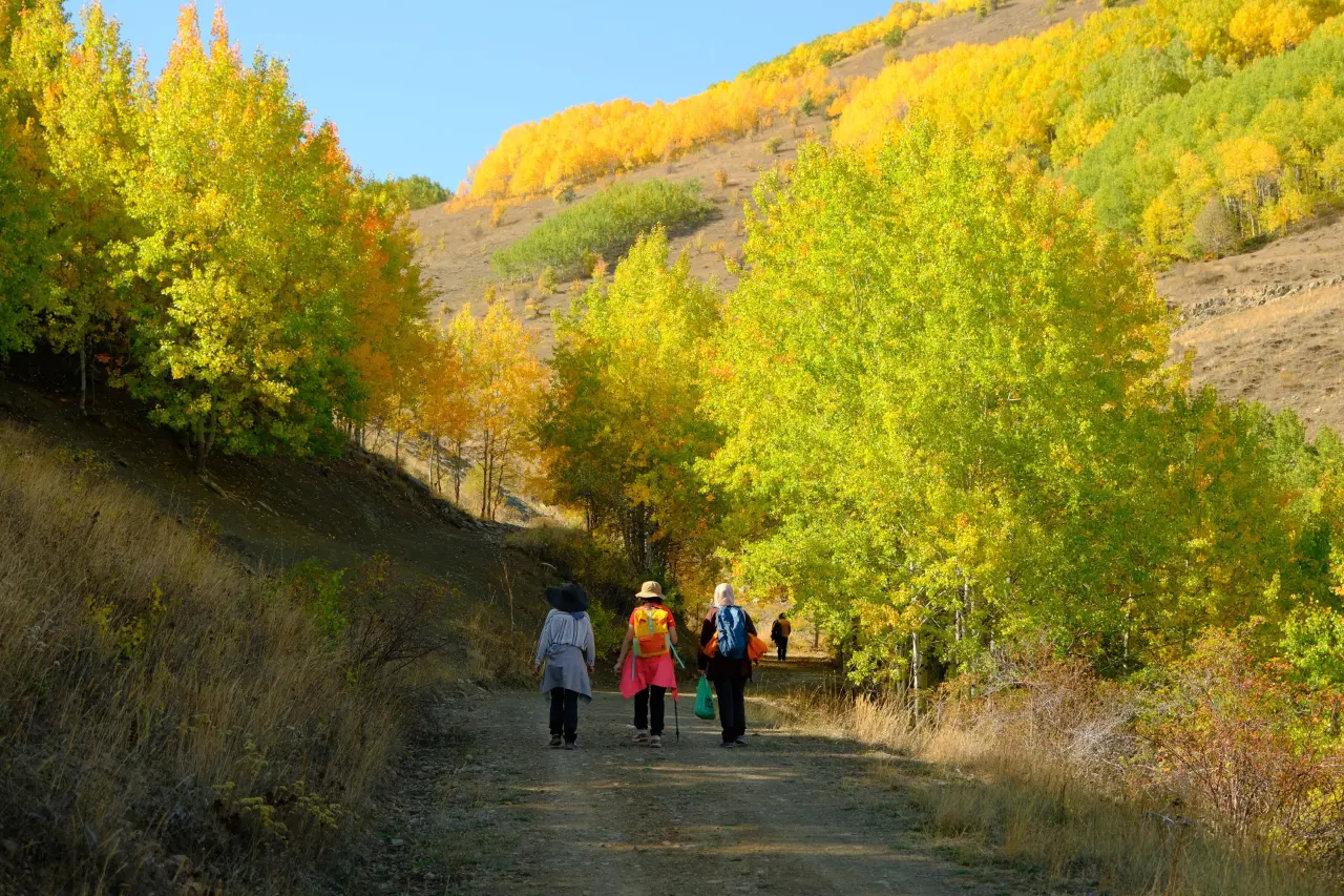 "Sonbaharın Başkenti" Gümüşhane renk cümbüşüne döndü 10