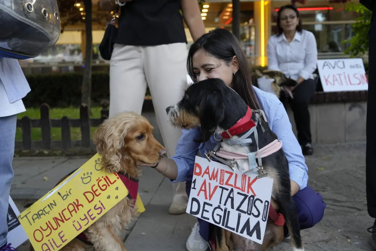 Gümüşhane’de Hayvanları Koruma Günü’nde anlamlı yürüyüş 3