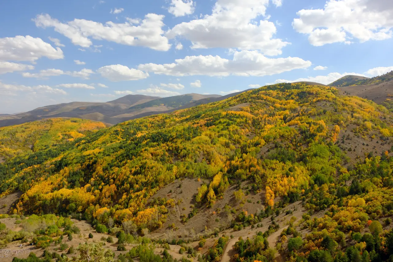 "Sonbaharın Başkenti" Gümüşhane renk cümbüşüne döndü 26