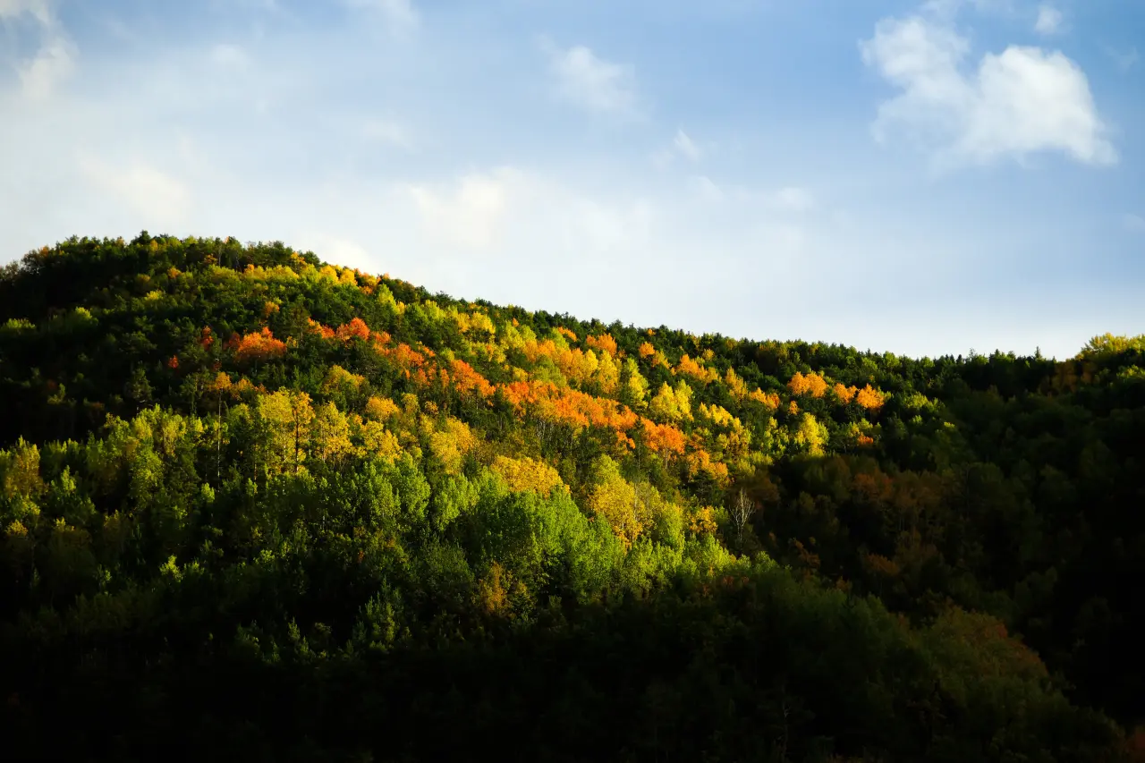 Gümüşhane'nin Alpleri aratmayan sonbahar güzelliği 4