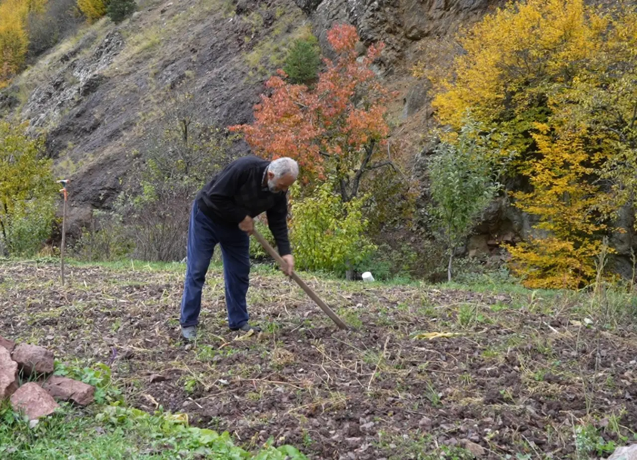 "Silve Sarımsağı"nda tescil için ilk adım atıldı 4