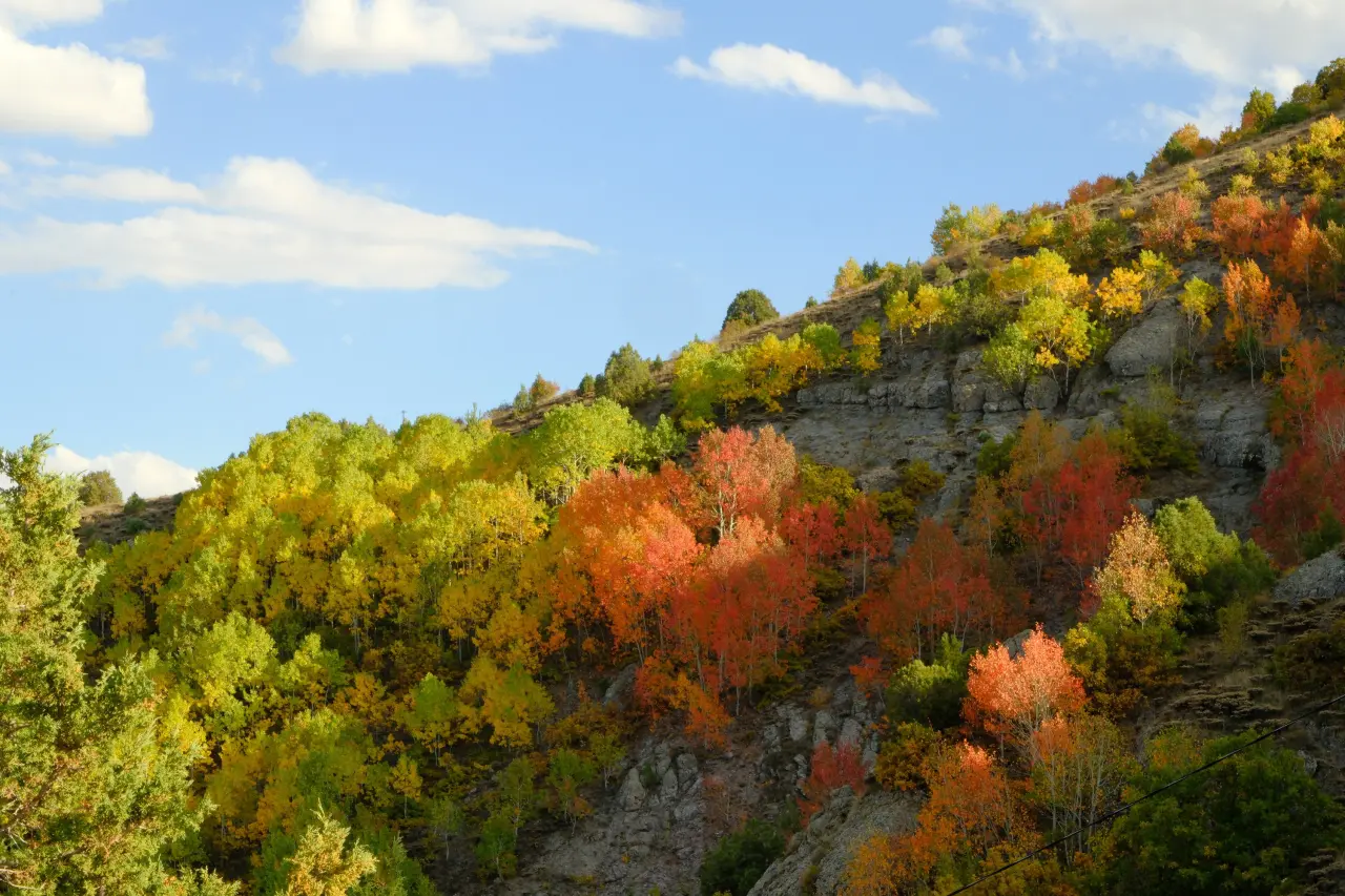 "Sonbaharın Başkenti" Gümüşhane renk cümbüşüne döndü 31