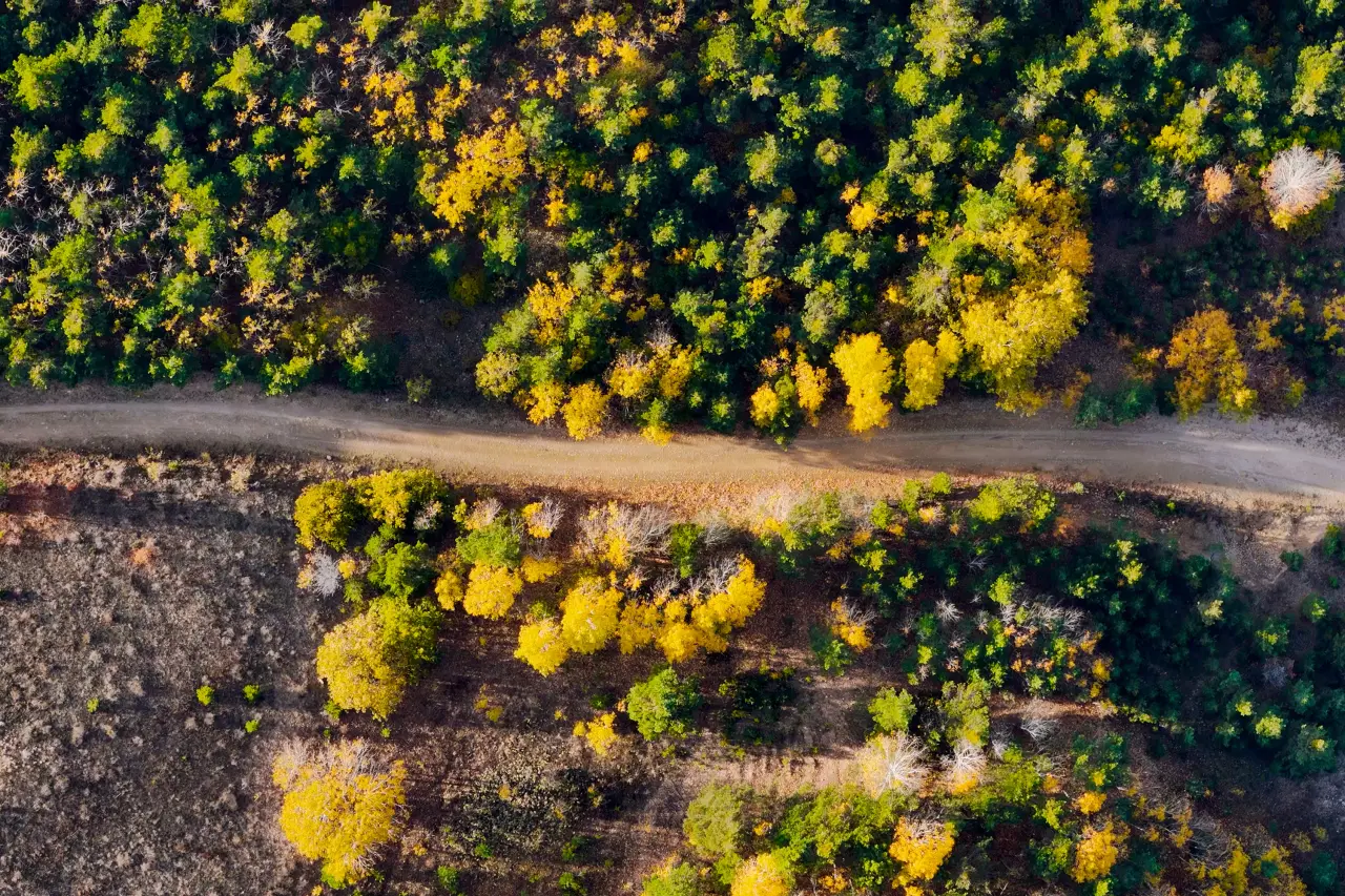 Gümüşhane'nin Alpleri aratmayan sonbahar güzelliği 23