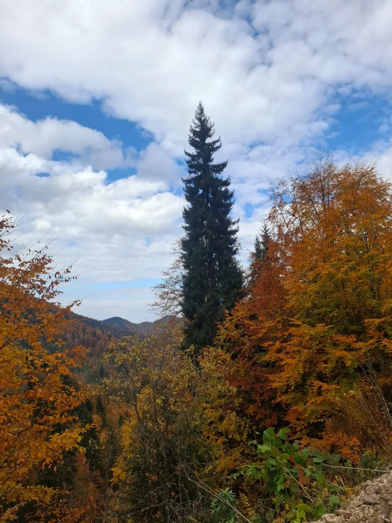 Örümcek Ormanları'nda Cumhuriyet ruhu adım adım yaşatıldı 24