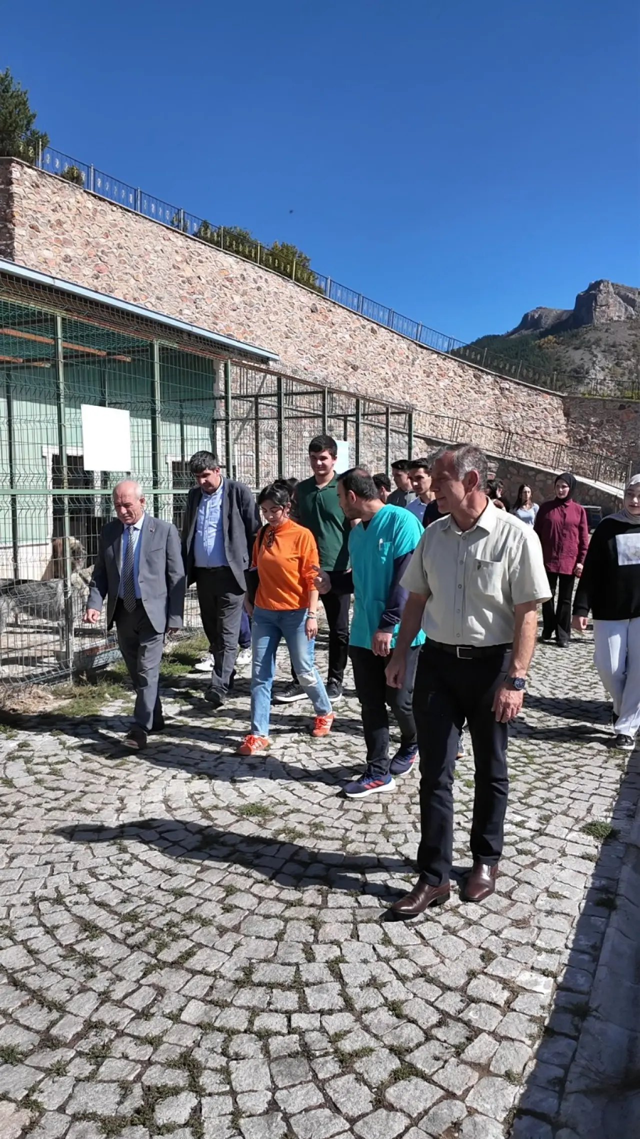 Gümüşhane'de Hayvanları Koruma Günü'nde Kalpleri Isıtan Etkinlik! 5