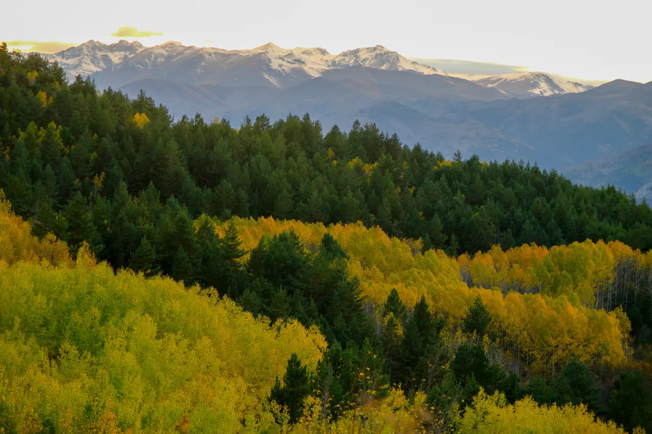 Gümüşhane'nin Alpleri aratmayan sonbahar güzelliği 15