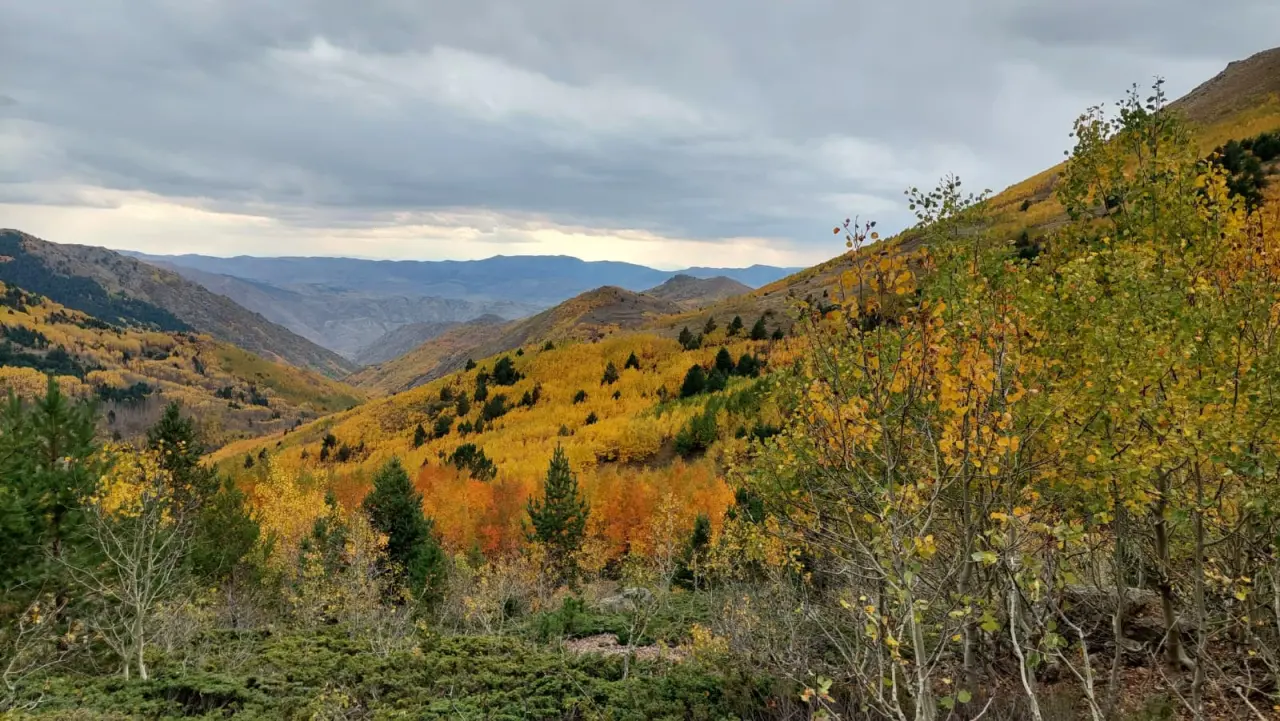 GÜDAK’tan Sonbaharın Renkleriyle Dolu Bir Doğa Yürüyüşü 6