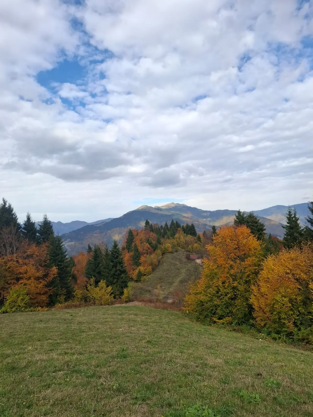Örümcek Ormanları'nda Cumhuriyet ruhu adım adım yaşatıldı 8
