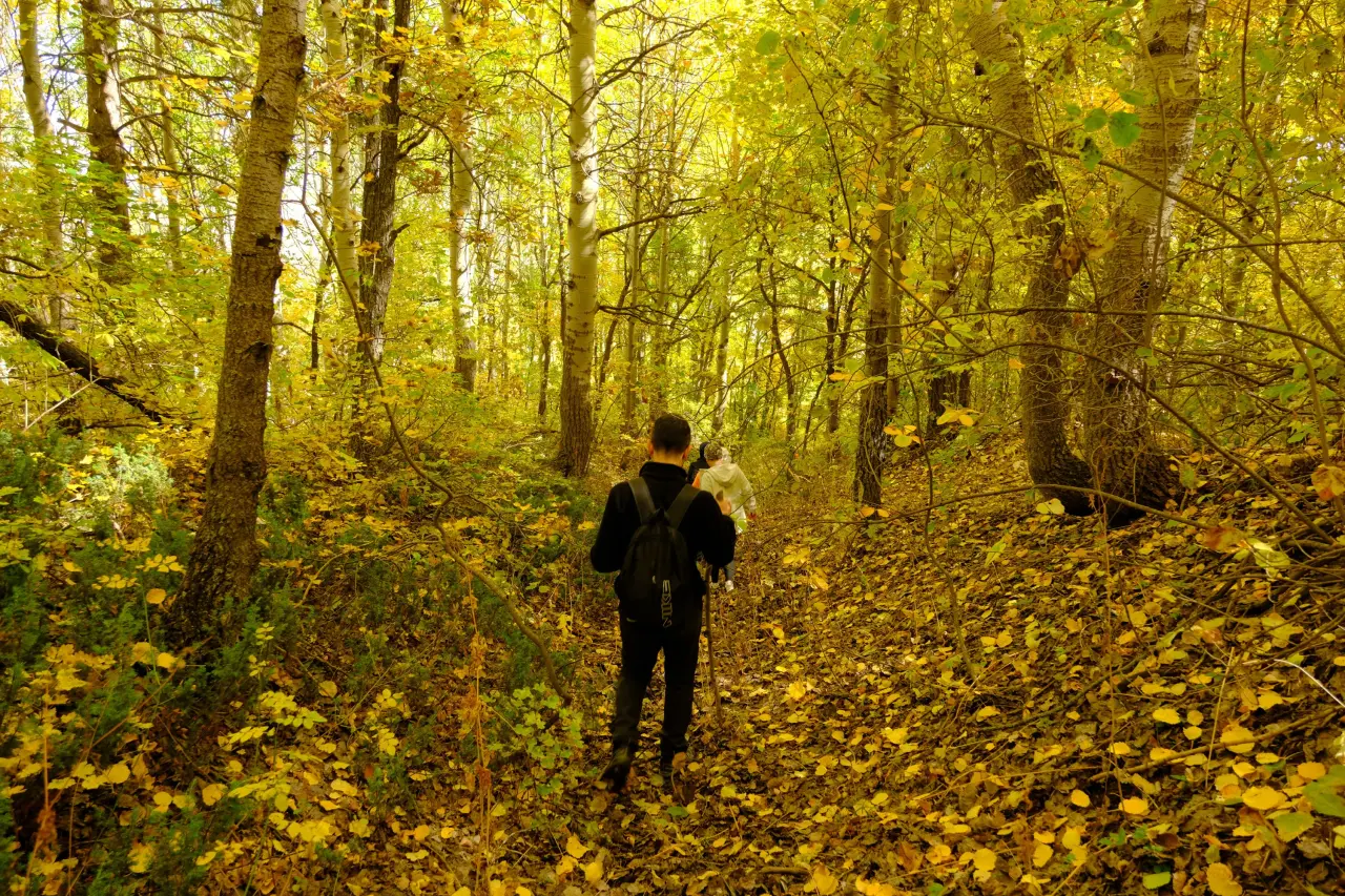 "Sonbaharın Başkenti" Gümüşhane renk cümbüşüne döndü 14