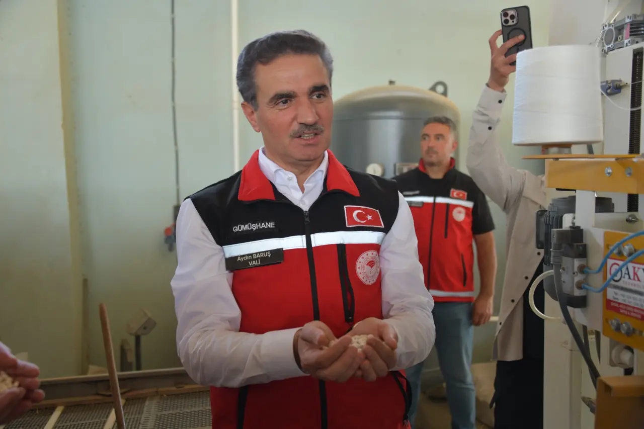 Vali Baruş, Kelkit’te traktörle fasulye hasadı yaptı 7