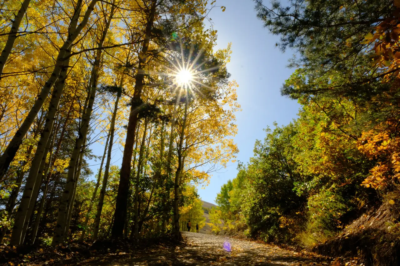 "Sonbaharın Başkenti" Gümüşhane renk cümbüşüne döndü 13