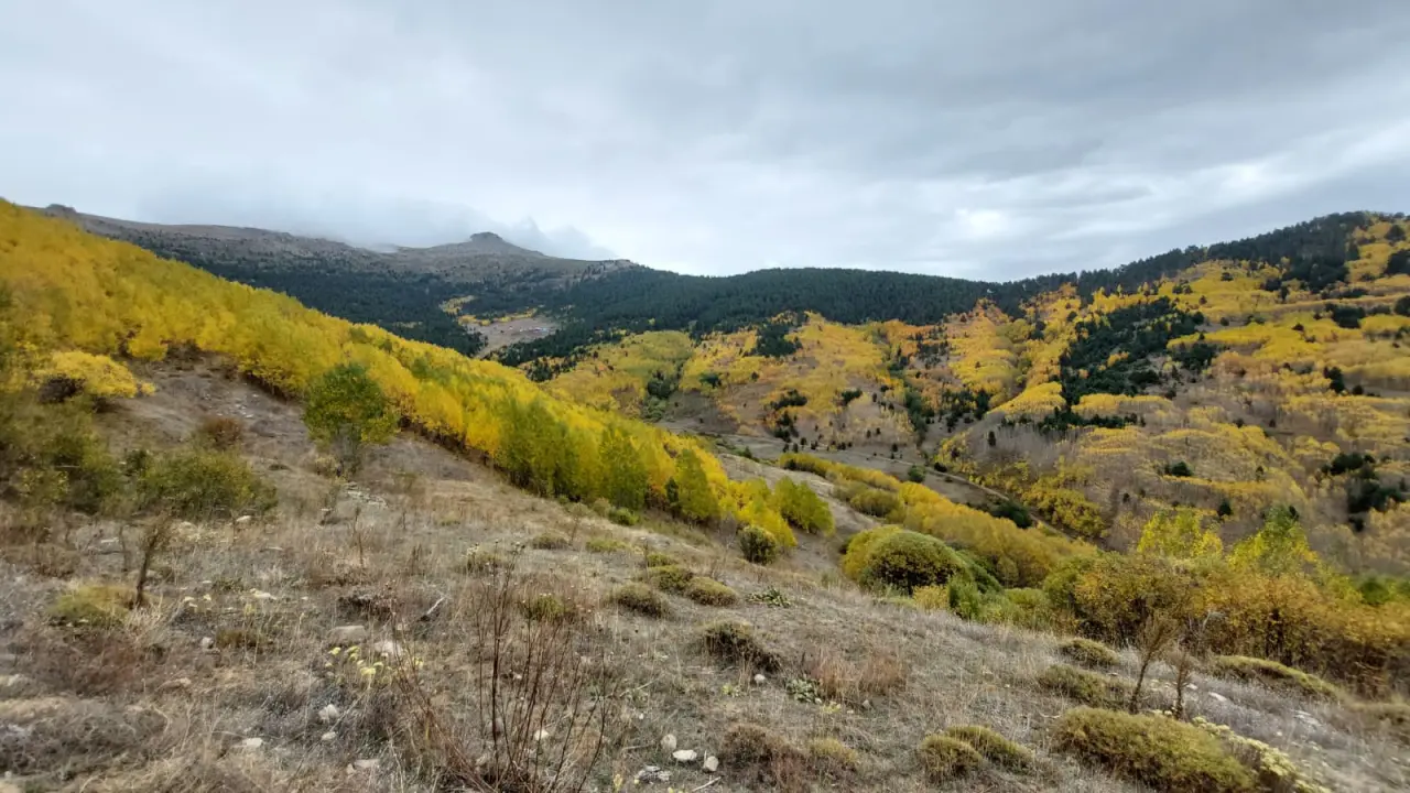 GÜDAK’tan Sonbaharın Renkleriyle Dolu Bir Doğa Yürüyüşü 19