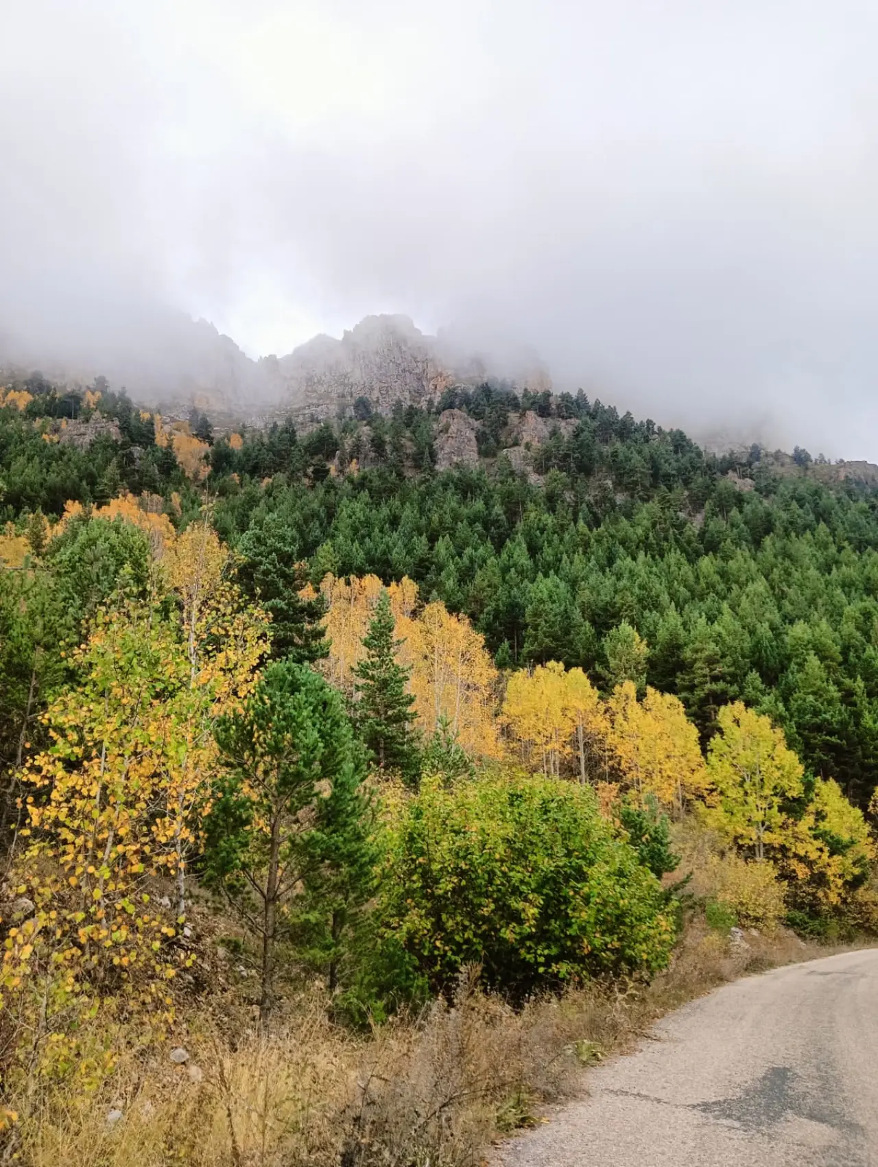 İzcilerden "Doğanın Büyüsüne Ortak Ol" yürüyüşü 1