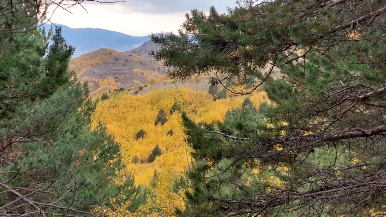 GÜDAK’tan Sonbaharın Renkleriyle Dolu Bir Doğa Yürüyüşü 28