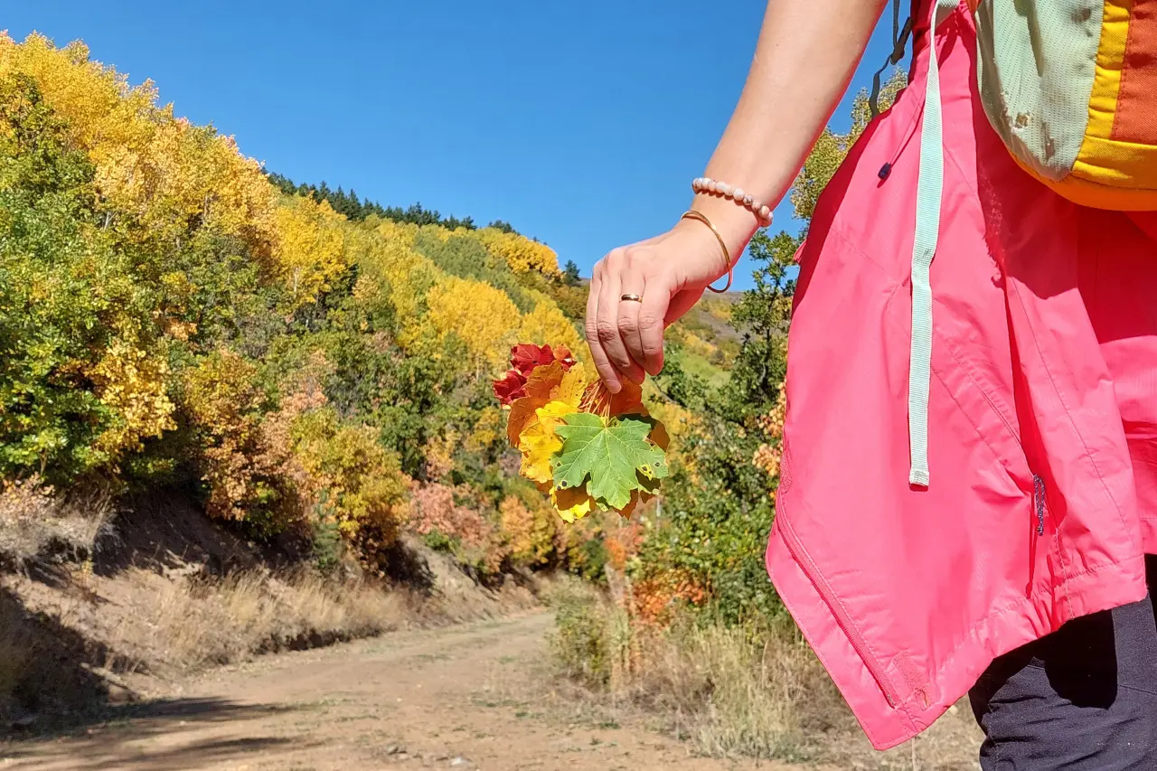 "Sonbaharın Başkenti" Gümüşhane renk cümbüşüne döndü 1
