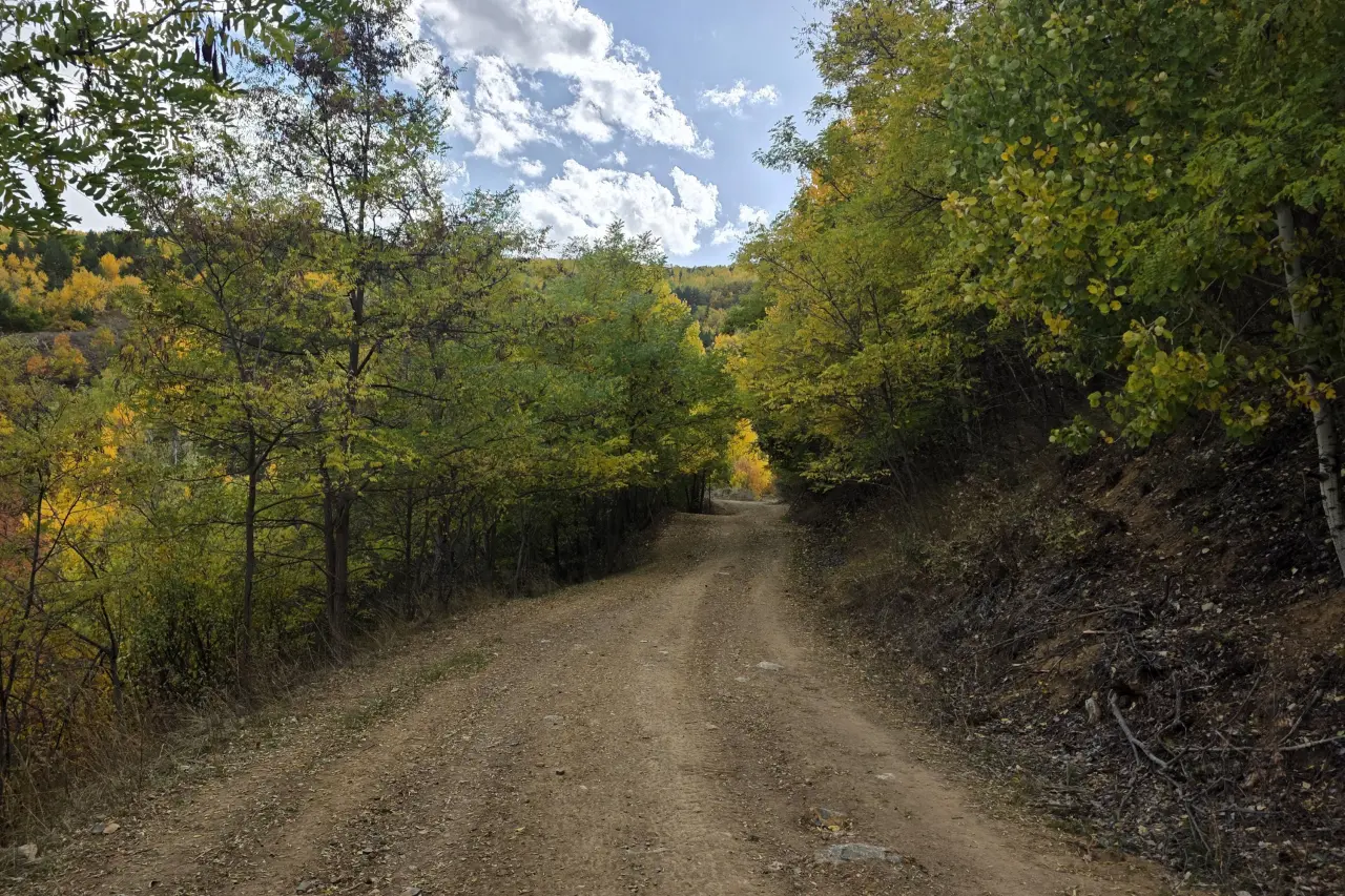 "Sonbaharın Başkenti" Gümüşhane renk cümbüşüne döndü 3