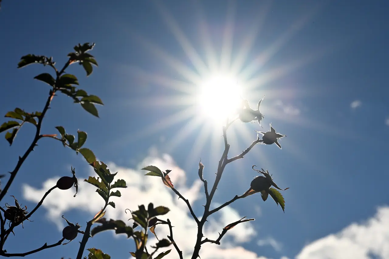 Gümüşhane’de 675 yıllık tarih sonbahar renkleriyle buluştu 15