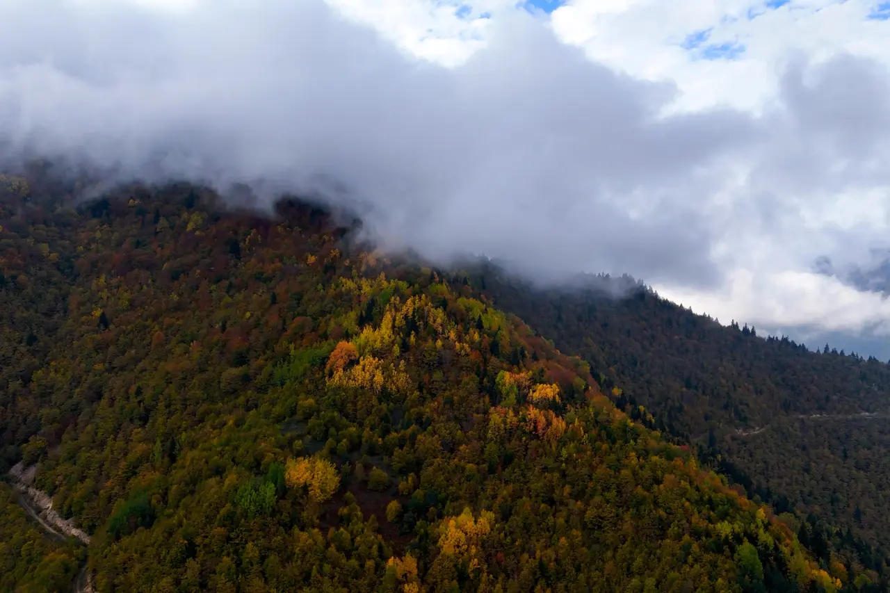 Örümcek Ormanları'nda Sonbahar Büyüsü: Görenleri Hayran Bırakıyor! 33