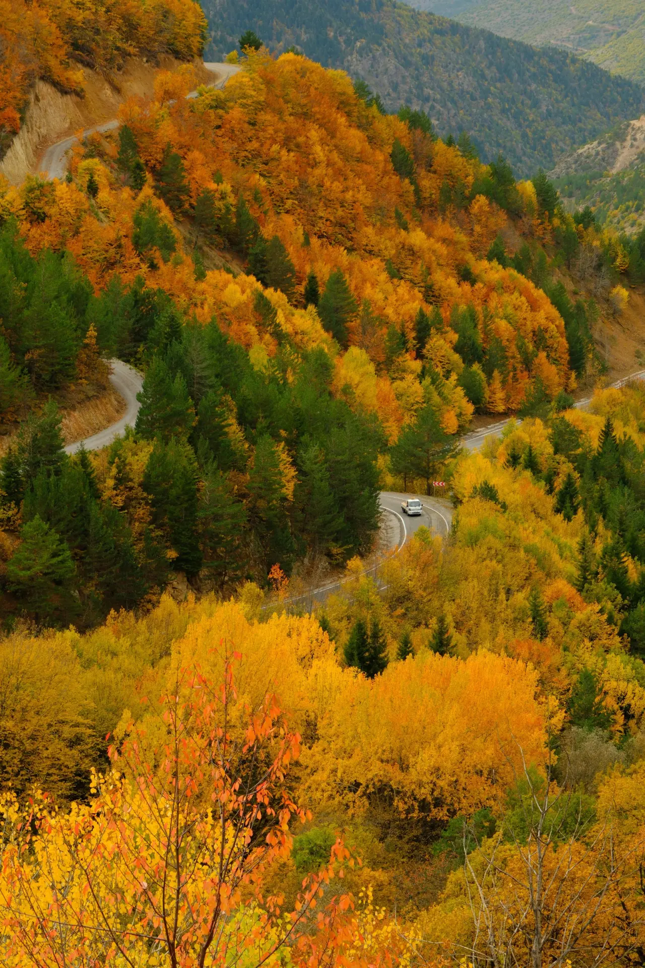 Zigana’nın tünelini değil, manzarasını seçtiler 17
