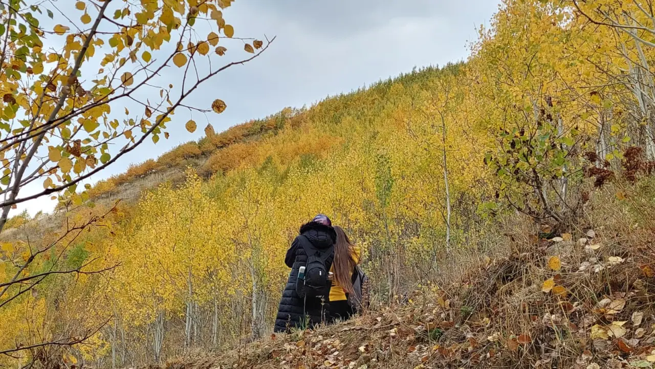 GÜDAK’tan Sonbaharın Renkleriyle Dolu Bir Doğa Yürüyüşü 15