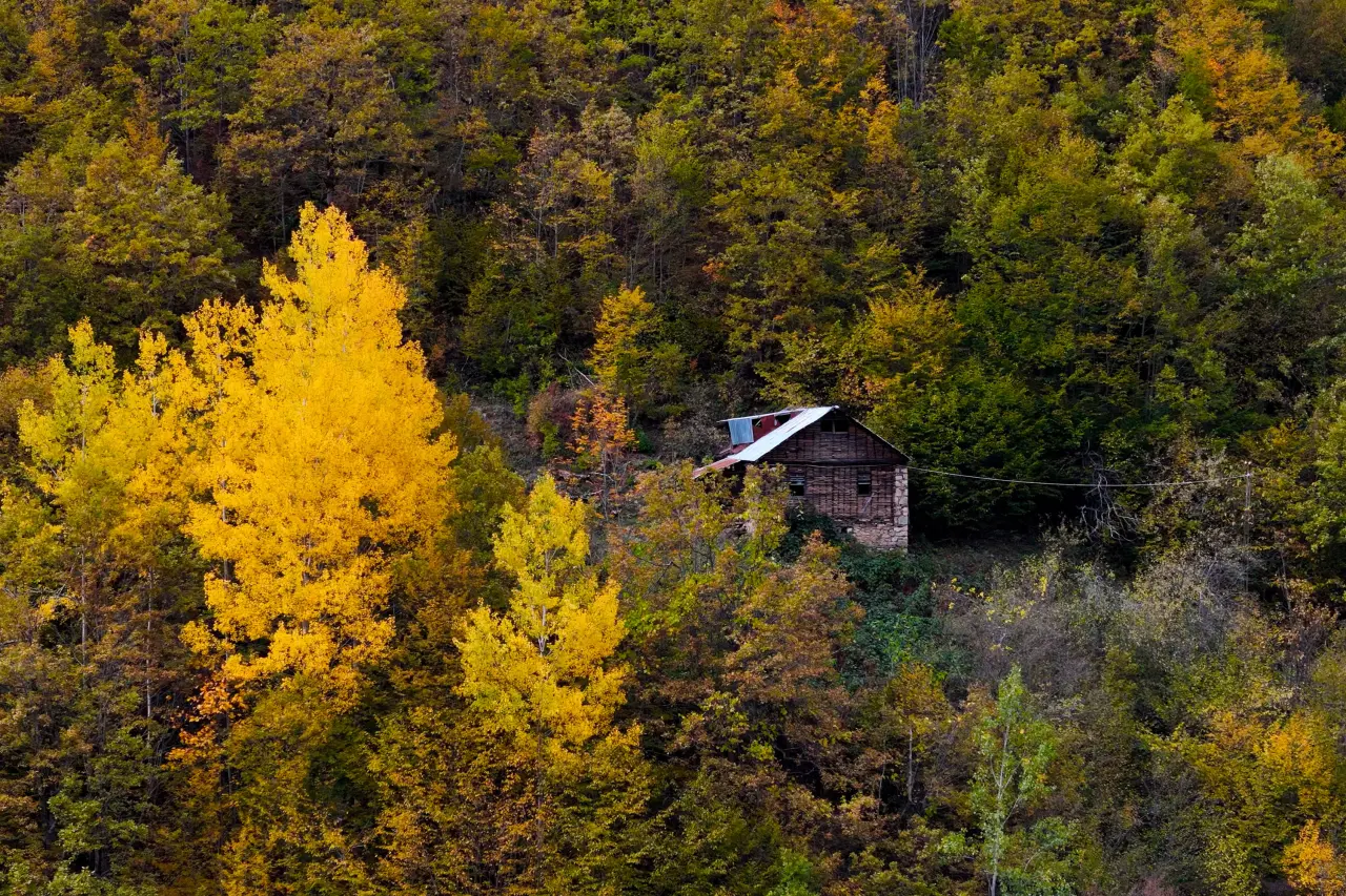 Örümcek Ormanları'nda Sonbahar Büyüsü: Görenleri Hayran Bırakıyor! 25