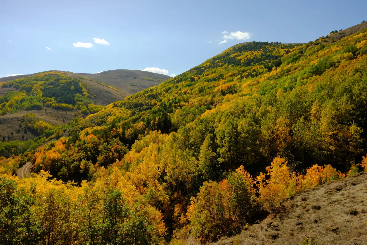 "Sonbaharın Başkenti" Gümüşhane renk cümbüşüne döndü 20