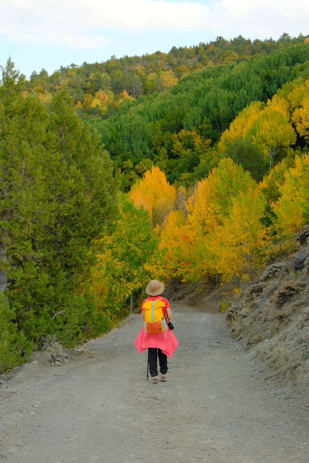 "Sonbaharın Başkenti" Gümüşhane renk cümbüşüne döndü 32