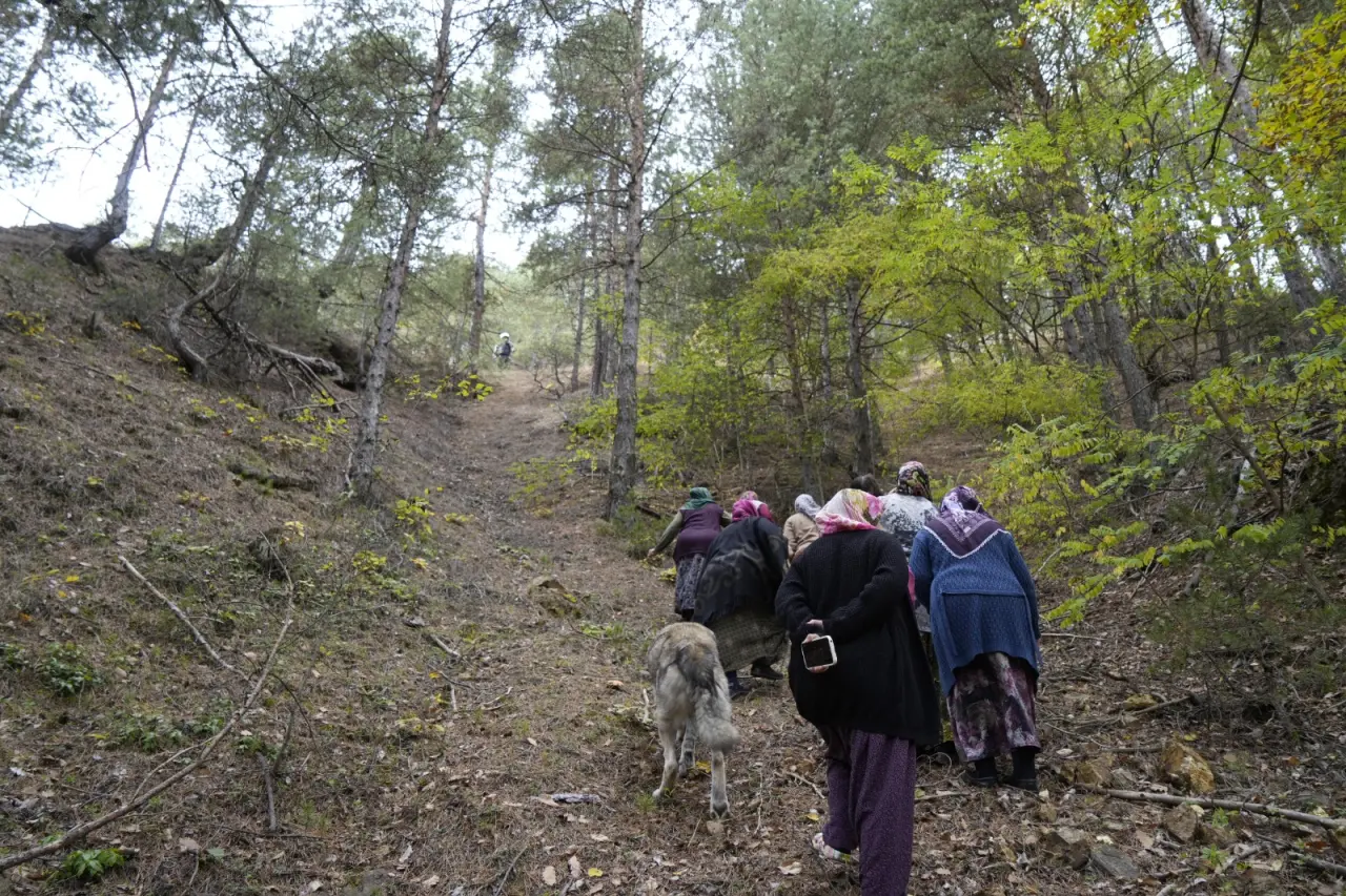 Köylü kadınların kararlılığı maden aramasını durdurdu 10