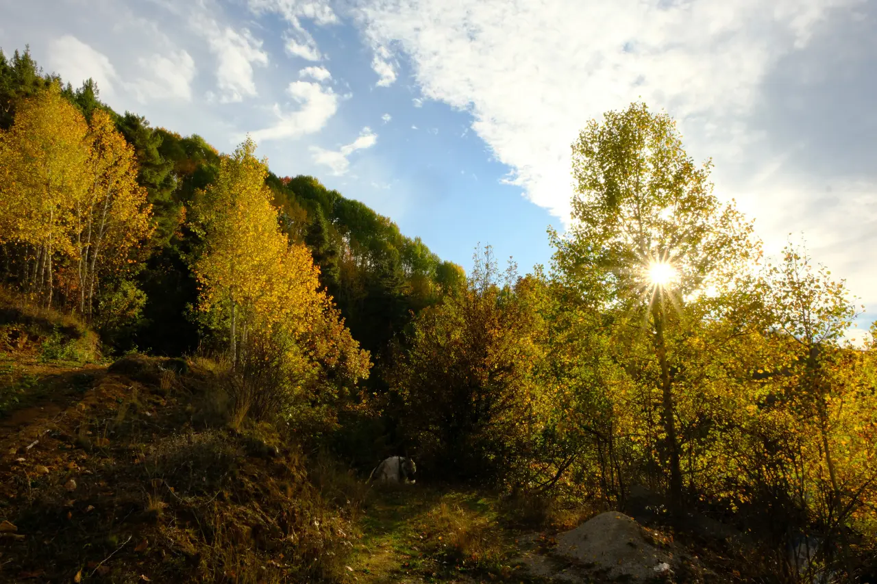 Gümüşhane'nin Alpleri aratmayan sonbahar güzelliği 8