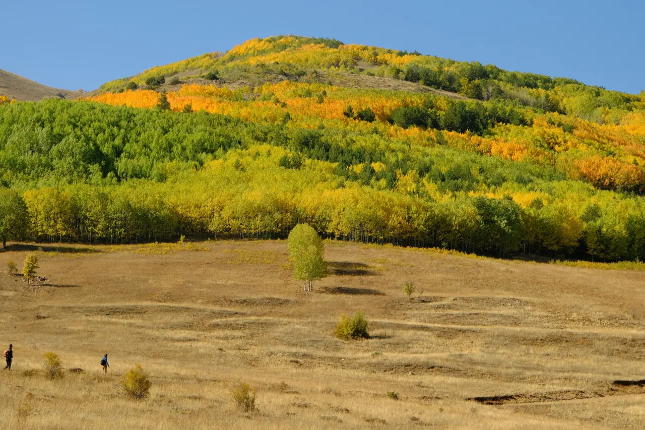 "Sonbaharın Başkenti" Gümüşhane renk cümbüşüne döndü 5