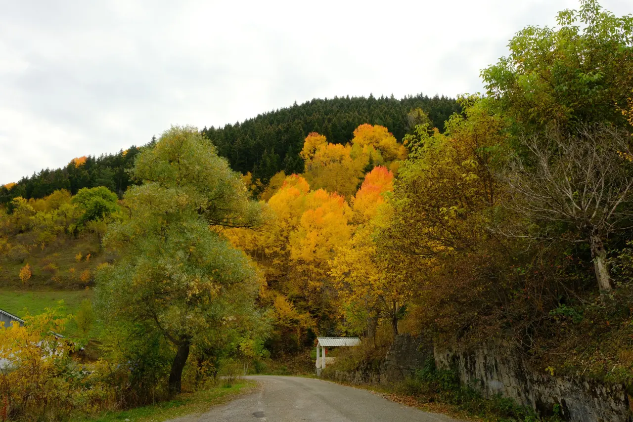 Zigana’nın tünelini değil, manzarasını seçtiler 12