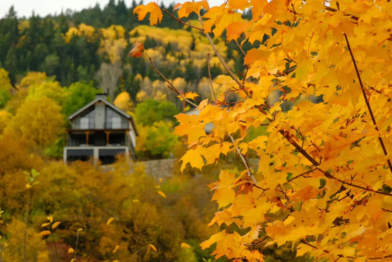 Zigana’nın tünelini değil, manzarasını seçtiler 11