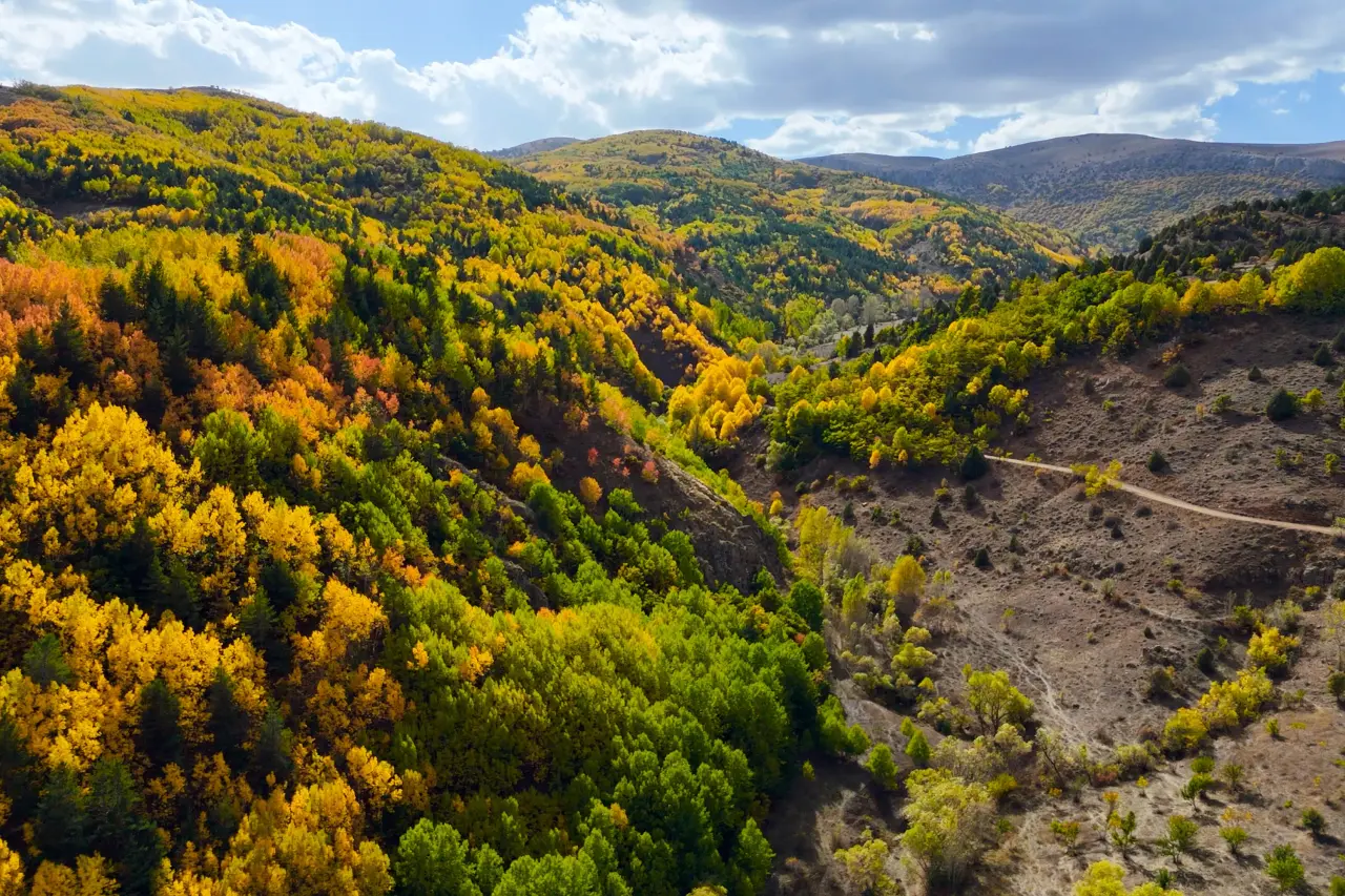 "Sonbaharın Başkenti" Gümüşhane renk cümbüşüne döndü 35