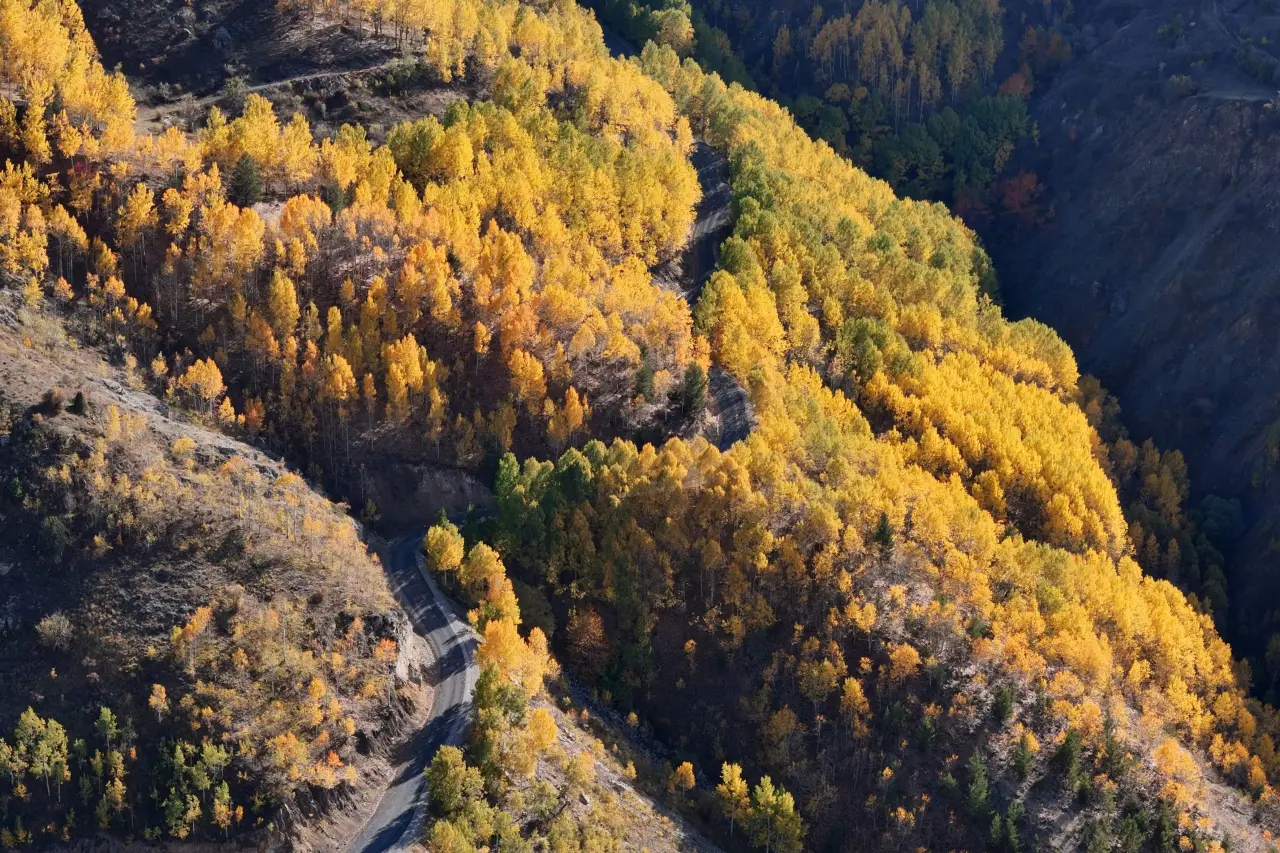Gümüşhane’de 675 yıllık tarih sonbahar renkleriyle buluştu 30