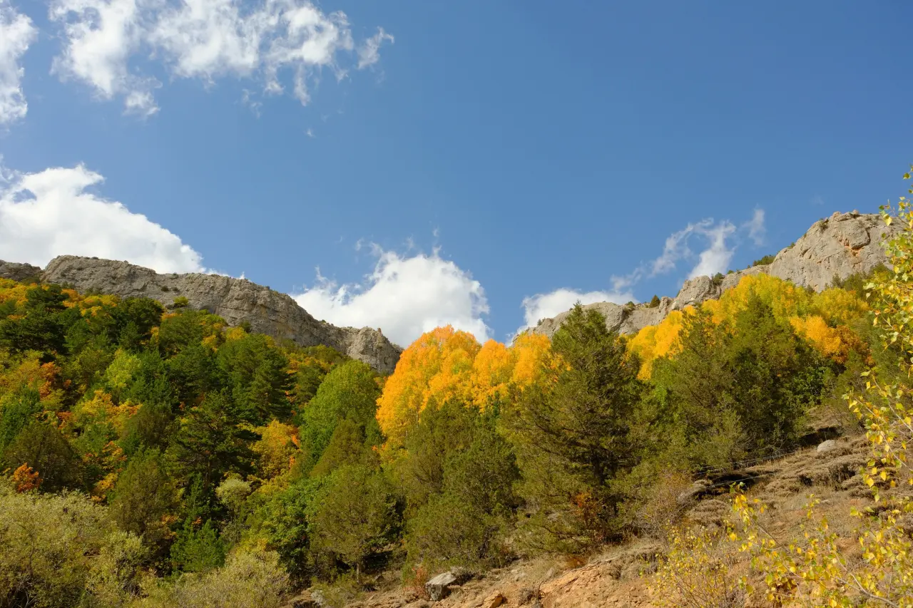 "Sonbaharın Başkenti" Gümüşhane renk cümbüşüne döndü 23