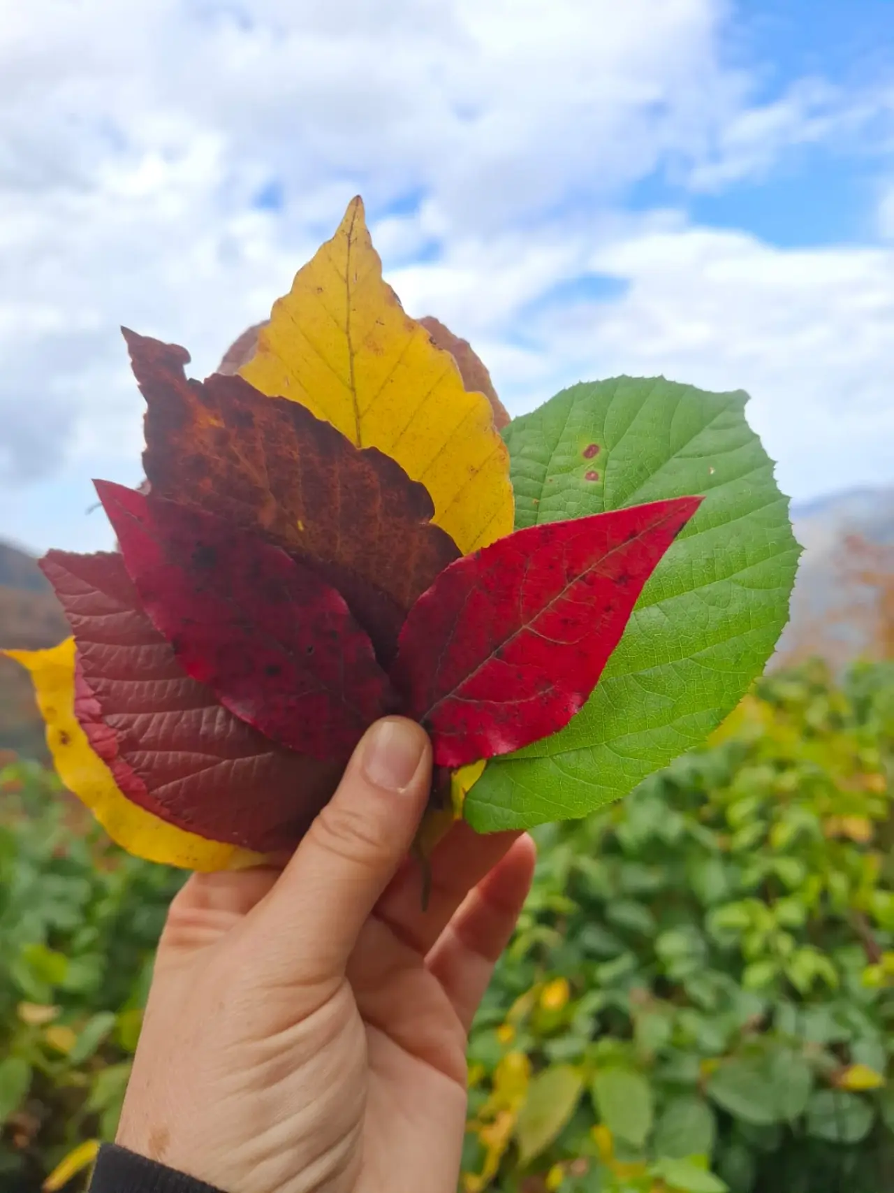 Örümcek Ormanları'nda Cumhuriyet ruhu adım adım yaşatıldı 9