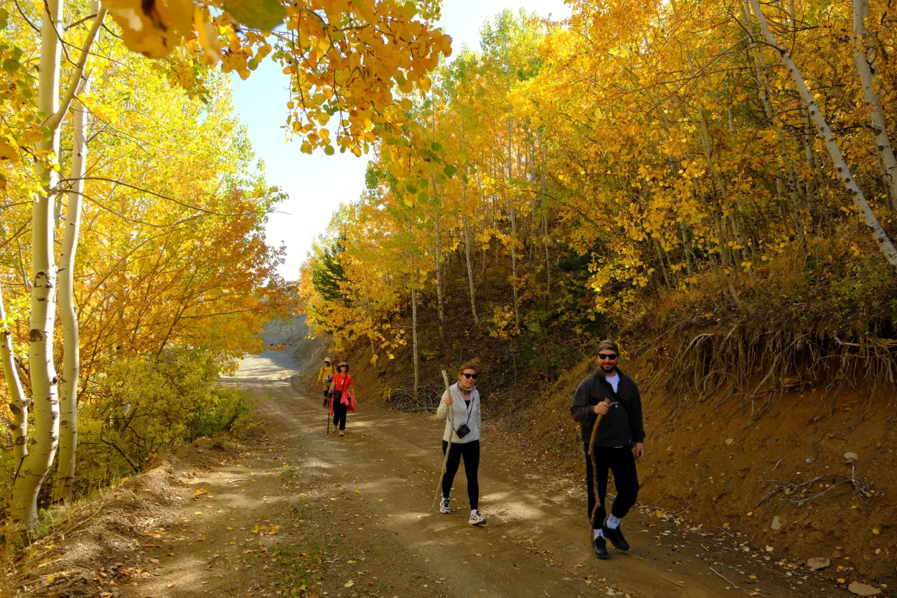 "Sonbaharın Başkenti" Gümüşhane renk cümbüşüne döndü 6