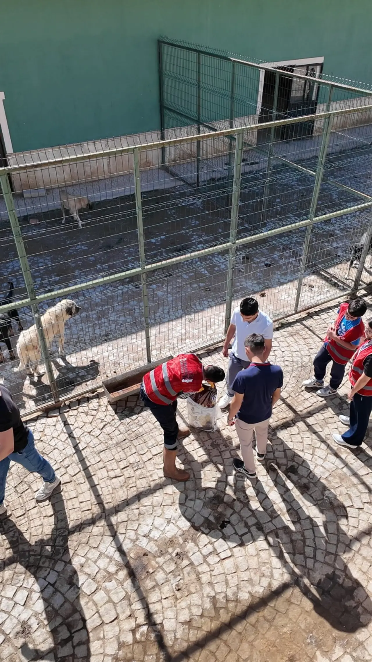 Gümüşhane'de Hayvanları Koruma Günü'nde Kalpleri Isıtan Etkinlik! 4