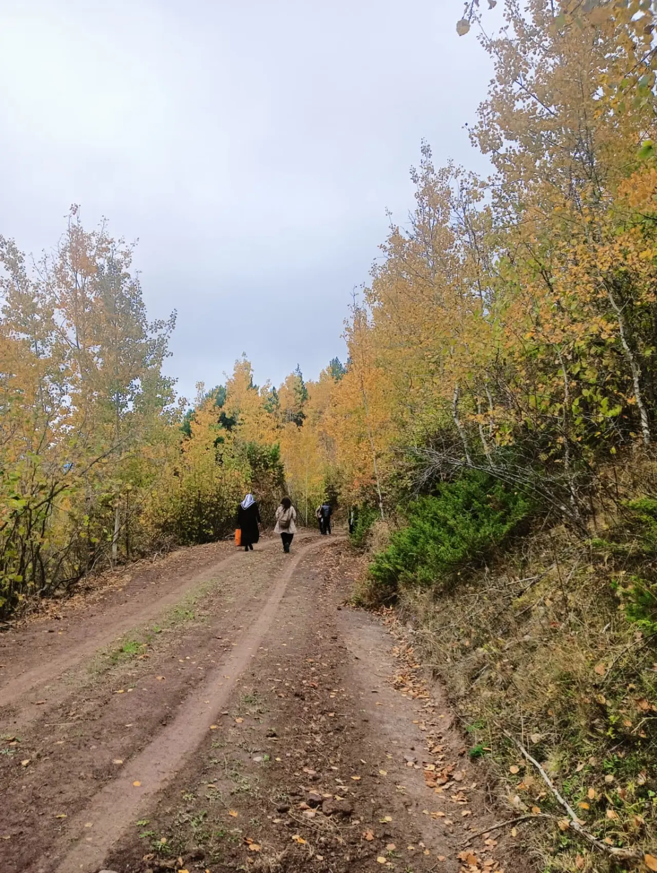 İzcilerden "Doğanın Büyüsüne Ortak Ol" yürüyüşü 2