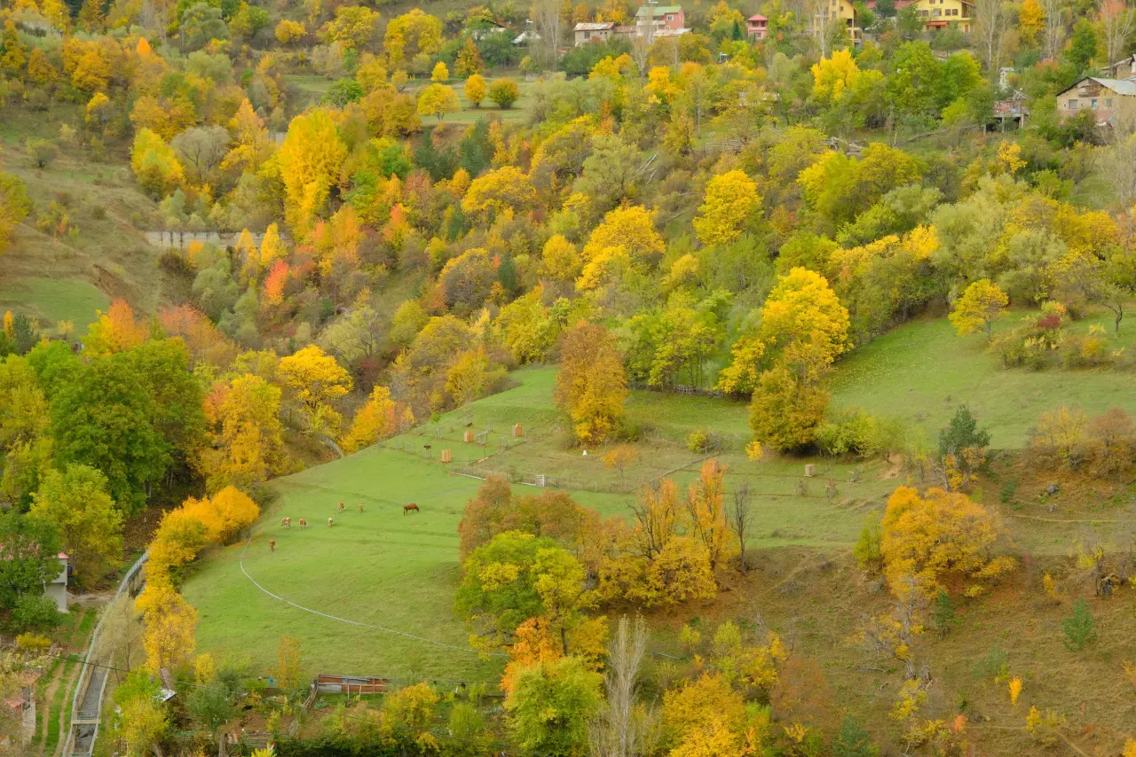 Zigana’nın tünelini değil, manzarasını seçtiler 6