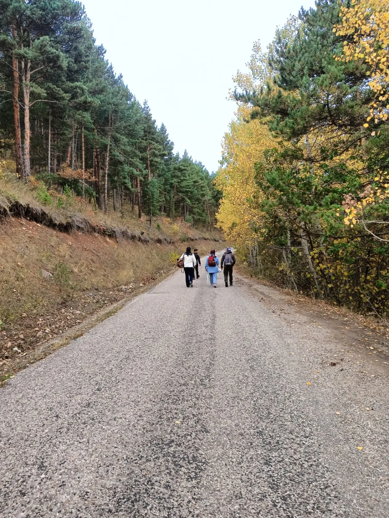 İzcilerden "Doğanın Büyüsüne Ortak Ol" yürüyüşü 3
