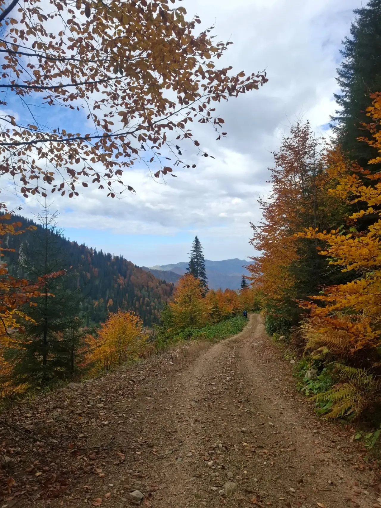 Örümcek Ormanları'nda Cumhuriyet ruhu adım adım yaşatıldı 21