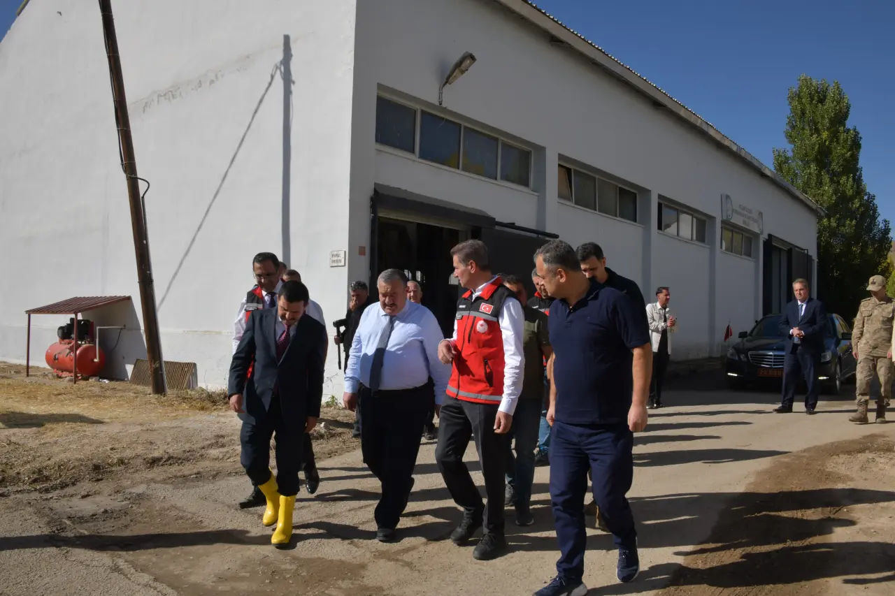 Vali Baruş, Kelkit’te traktörle fasulye hasadı yaptı 6