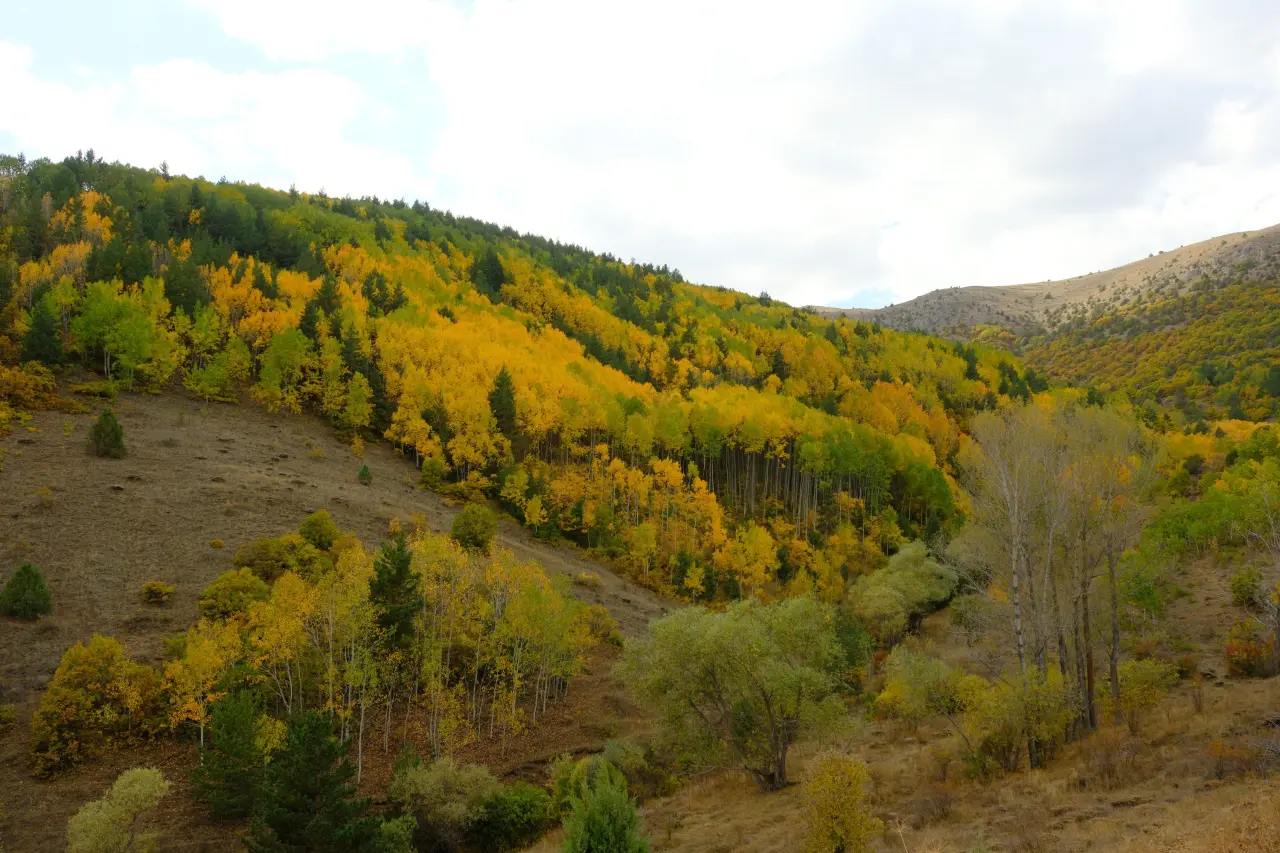 "Sonbaharın Başkenti" Gümüşhane renk cümbüşüne döndü 22