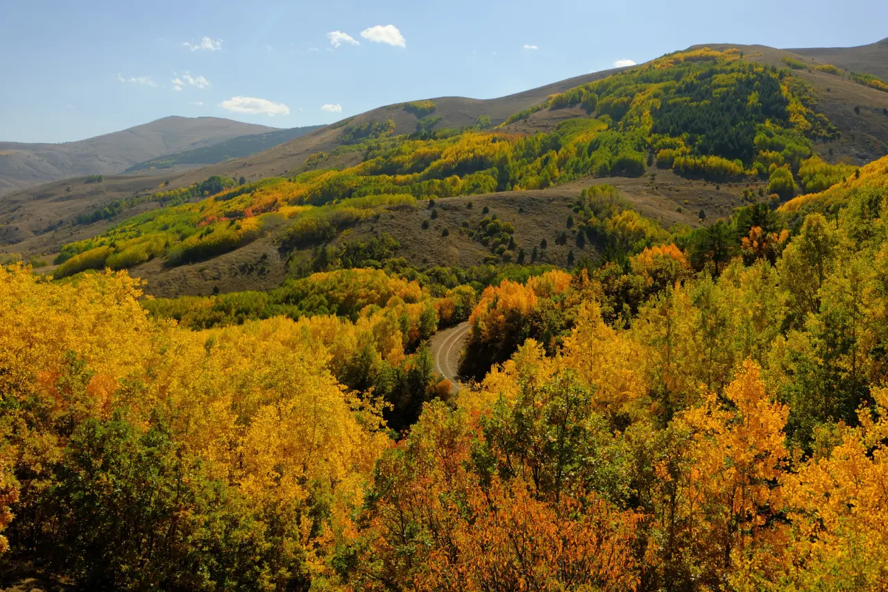 "Sonbaharın Başkenti" Gümüşhane renk cümbüşüne döndü 19