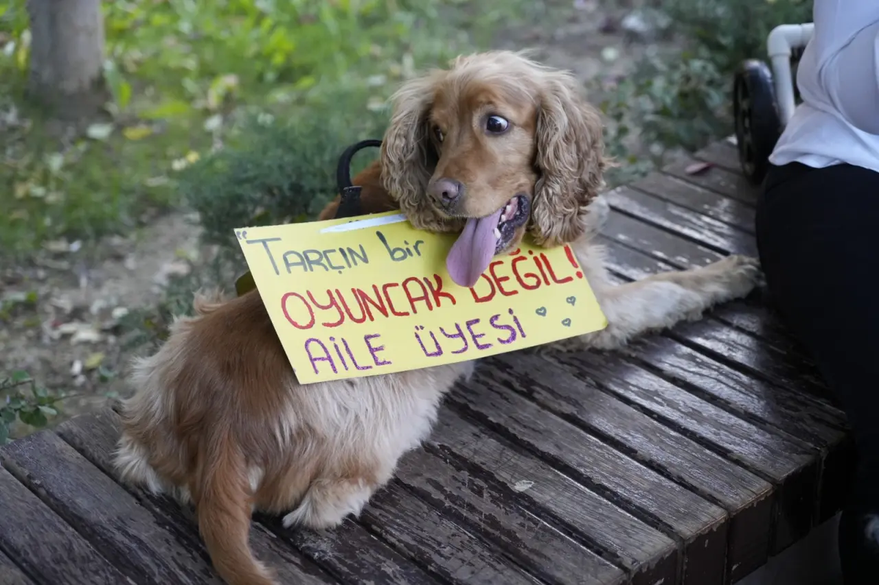 Gümüşhane’de Hayvanları Koruma Günü’nde anlamlı yürüyüş 2