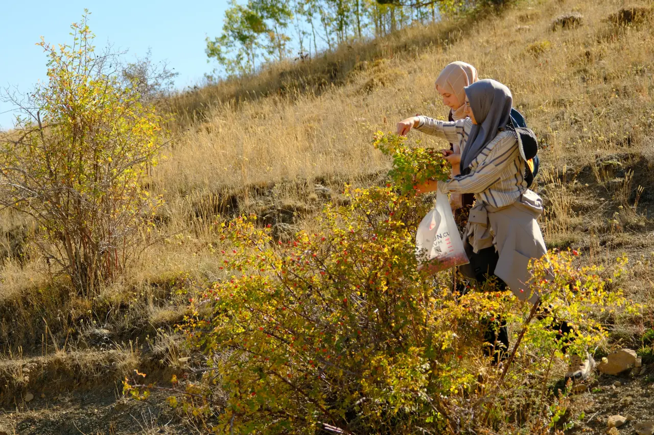 "Sonbaharın Başkenti" Gümüşhane renk cümbüşüne döndü 9
